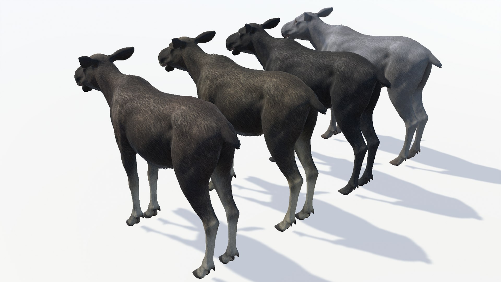 Moose Family 3D model https://p.turbosquid.com/ts-thumb/zk/2bGJFy/TF/rc12/png/1697623933/1920x1080/fit_q87/2489dc4930919fffd1f9df0d3fcb307284e80c35/rc12.jpg