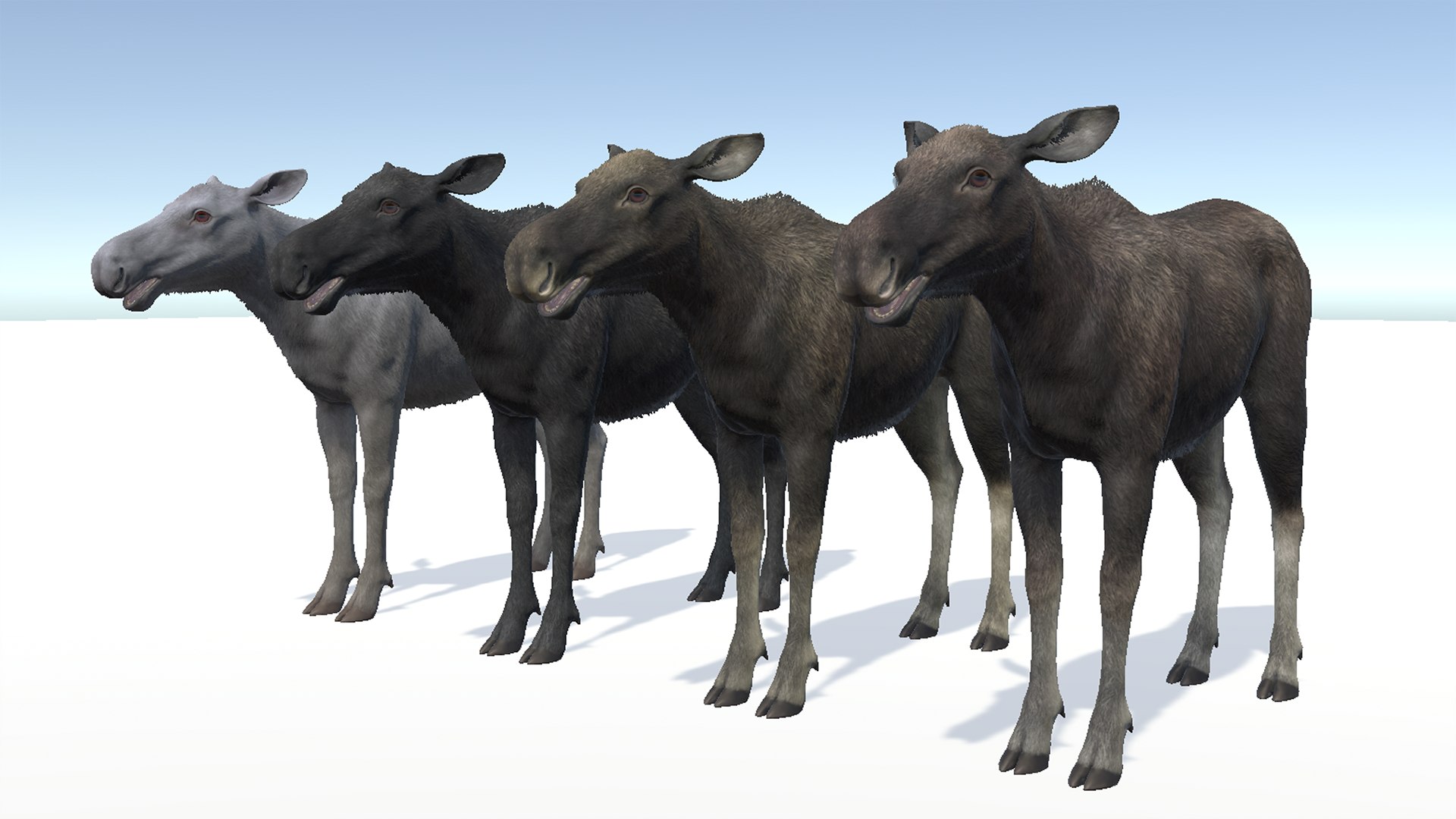 Moose Family 3D model https://p.turbosquid.com/ts-thumb/zk/2bGJFy/at/rc7/png/1697623927/1920x1080/fit_q87/16390ef4d7e974ba3234b1061228e13ee03d09e8/rc7.jpg