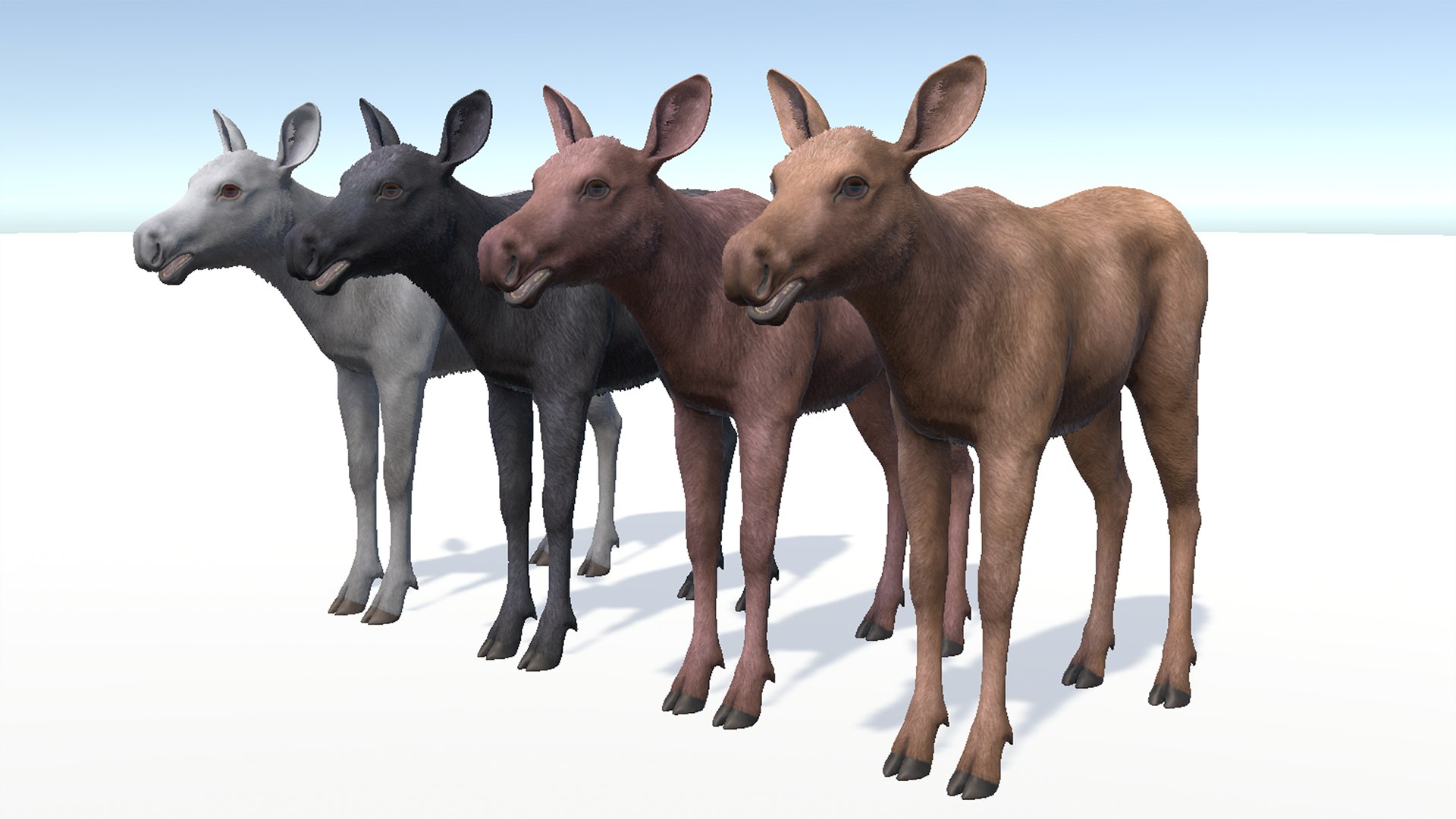 Moose Family 3D model https://p.turbosquid.com/ts-thumb/zk/2bGJFy/sv/rs8/png/1697623945/1920x1080/fit_q87/ef1cf4dba437faf95f6862e2f0624e1077a79244/rs8.jpg