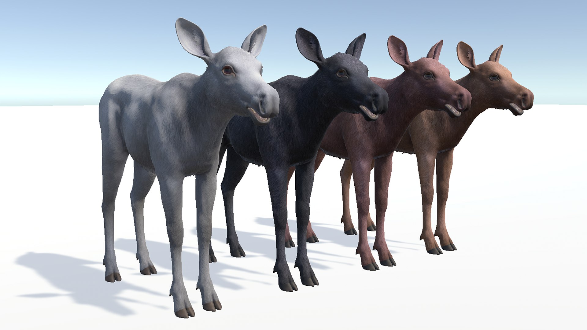 Moose Family 3D model https://p.turbosquid.com/ts-thumb/zk/2bGJFy/tH/rs11/png/1697623947/1920x1080/fit_q87/2303a3e066b2a62e038e862a4edc7ed2f361c005/rs11.jpg