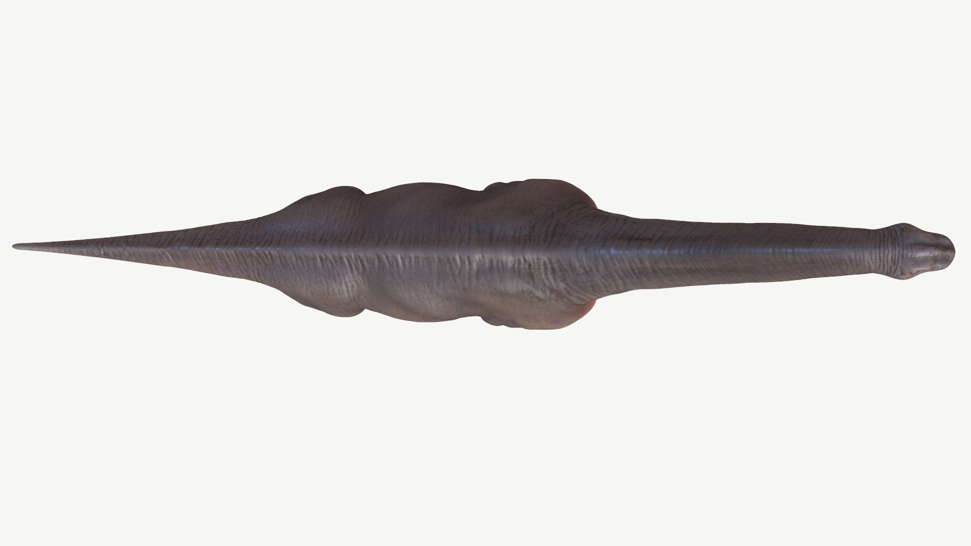 brachiosaurus 3D model https://p.turbosquid.com/ts-thumb/zk/7NDXyZ/1S/4/png/1728452155/1920x1080/fit_q87/c90f0e090ee1a26c7d6bcc65d921b5cd359dd433/4.jpg