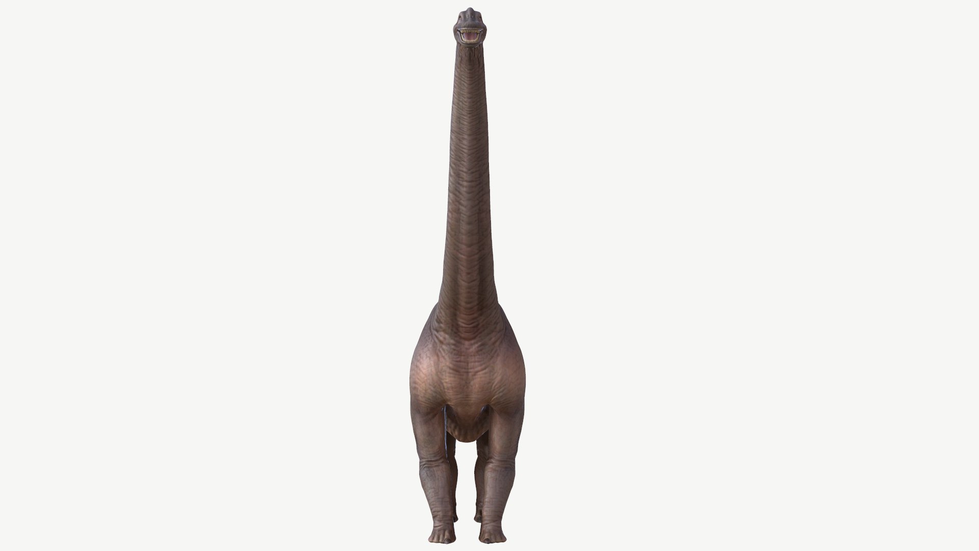 brachiosaurus 3D model https://p.turbosquid.com/ts-thumb/zk/7NDXyZ/Nl/5/png/1728452156/1920x1080/fit_q87/39831331ade5a06ed375439f3f4aa5c690ff3f80/5.jpg