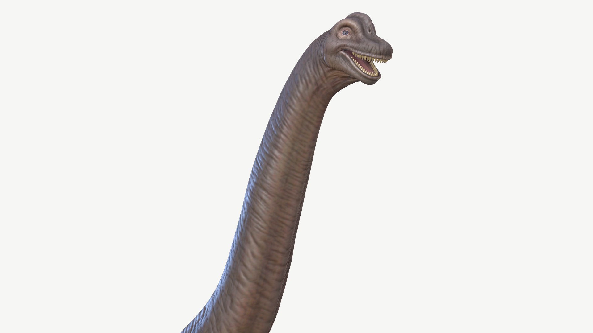 brachiosaurus 3D model https://p.turbosquid.com/ts-thumb/zk/7NDXyZ/yD/7/png/1728452158/1920x1080/fit_q87/6ff99dae79a4adb9293a02f15a8ef3ef48f551c2/7.jpg