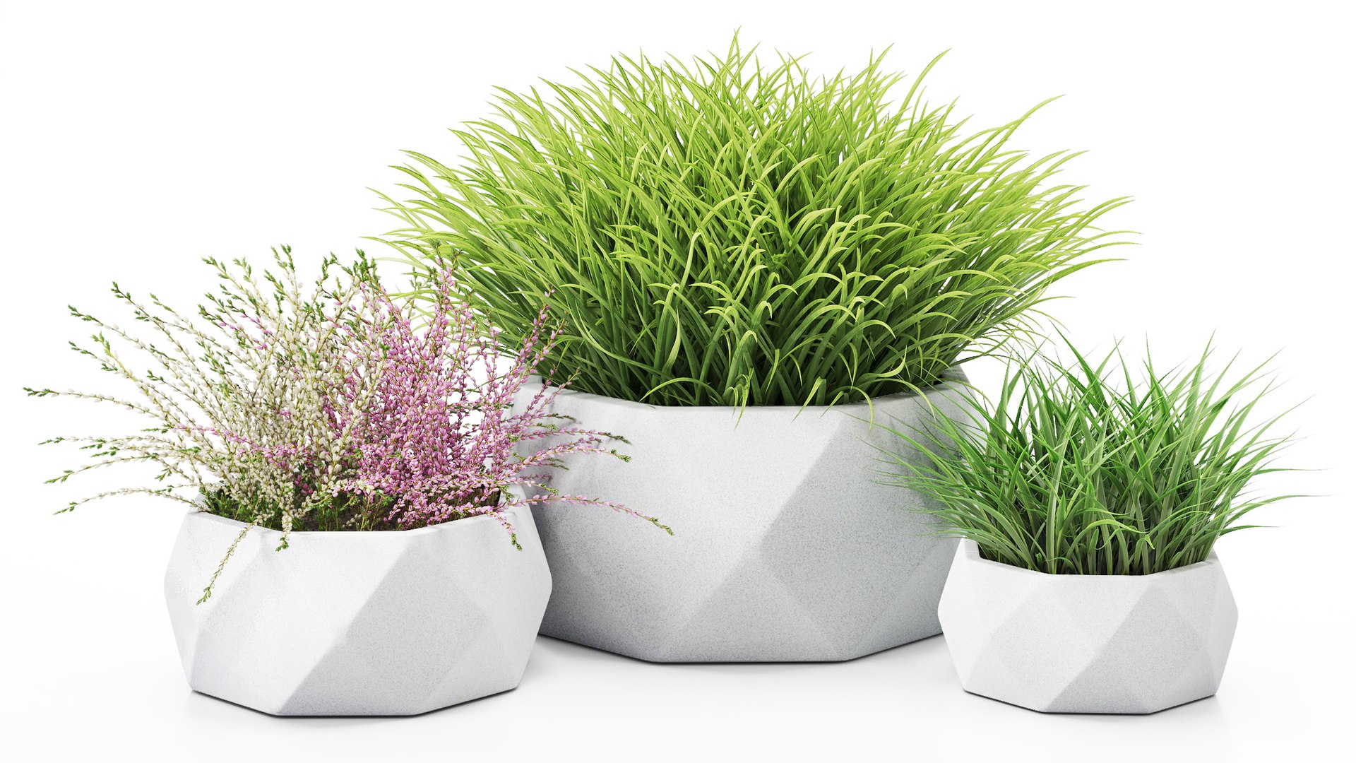 3D Decorative outdoor plants https://p.turbosquid.com/ts-thumb/zk/7jvYEl/e5/pic_01_1920x1080/jpg/1711120002/1920x1080/fit_q87/25a6c5a9cb3790d9278829458dd489555d0937ab/pic_01_1920x1080.jpg