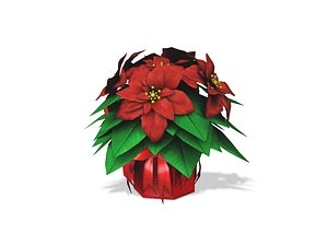 3D Poinsettia Gift Plant model