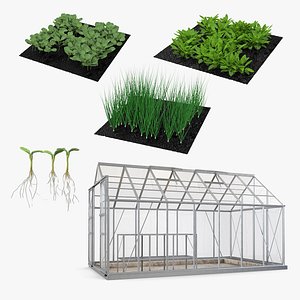 Garden Greenhouse with Grows Collection 2