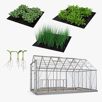 Garden Greenhouse with Grows Collection 2