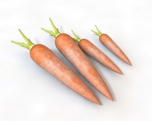 Carrot