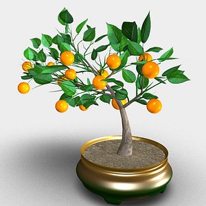 3D orange tree bonsai model