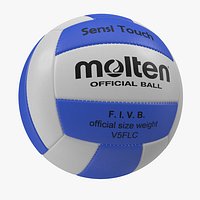 Volleyball Ball 4 Molten