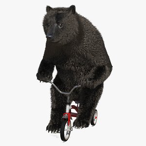 Tricycle Riding Bear Dark Brown Fur 3D model