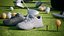 Golf Props  12 Assets