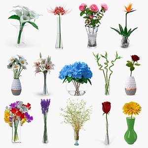 Flowers in Vases Collection 7 3D model