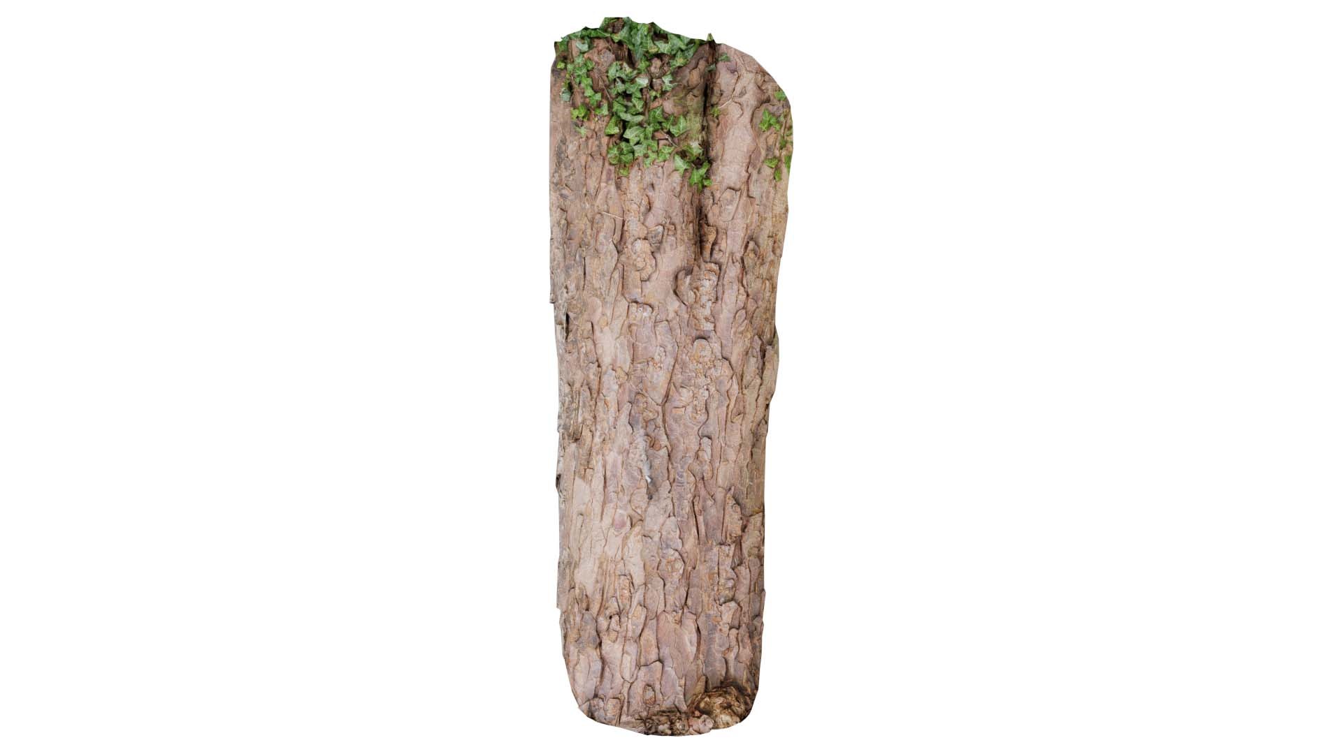 3D Island Bark Remastered model https://p.turbosquid.com/ts-thumb/zl/9yDvk1/31/island_bark_00/jpg/1740394397/1920x1080/fit_q87/859f8bd4a7c55e55bacf0cce77c5dcfac68b05dd/island_bark_00.jpg