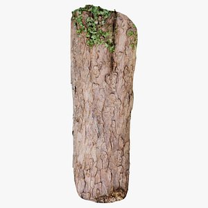 3D Island Bark Remastered model