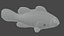 Fish1