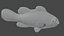 Fish1