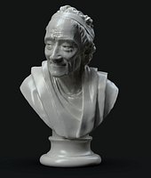 Voltaire Bust