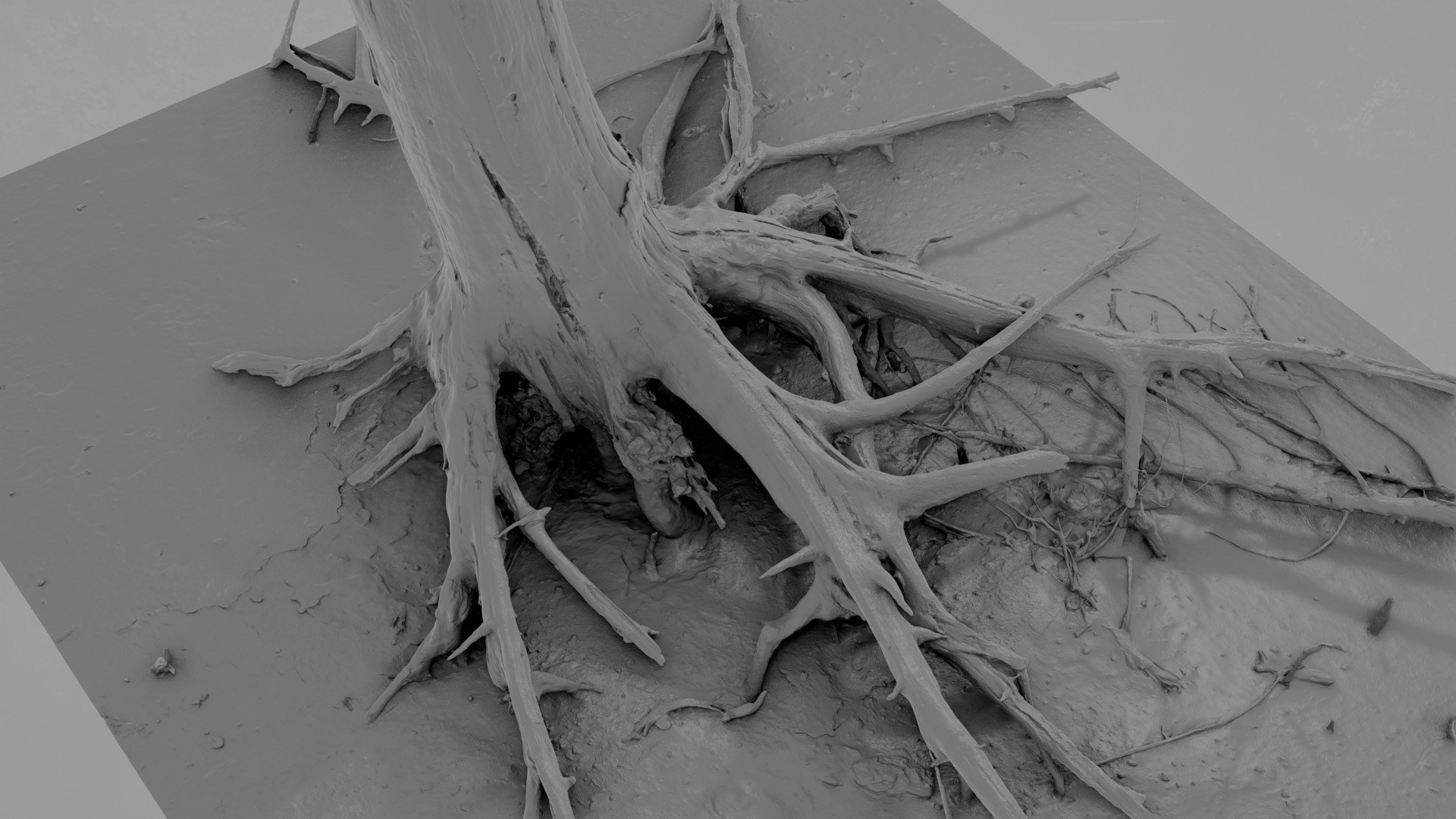 Dead Tree 021 3D - TurboSquid 2371321