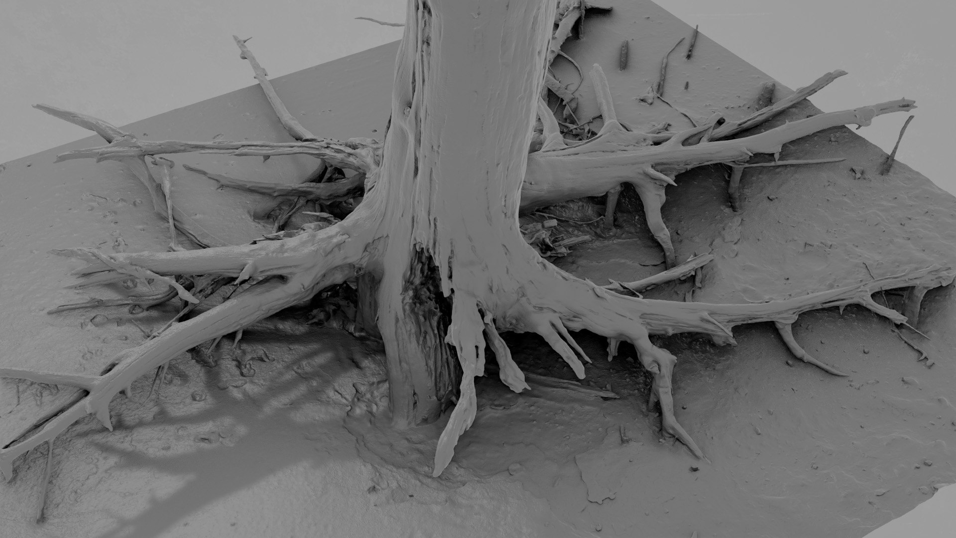 Dead Tree 021 3D - TurboSquid 2371321