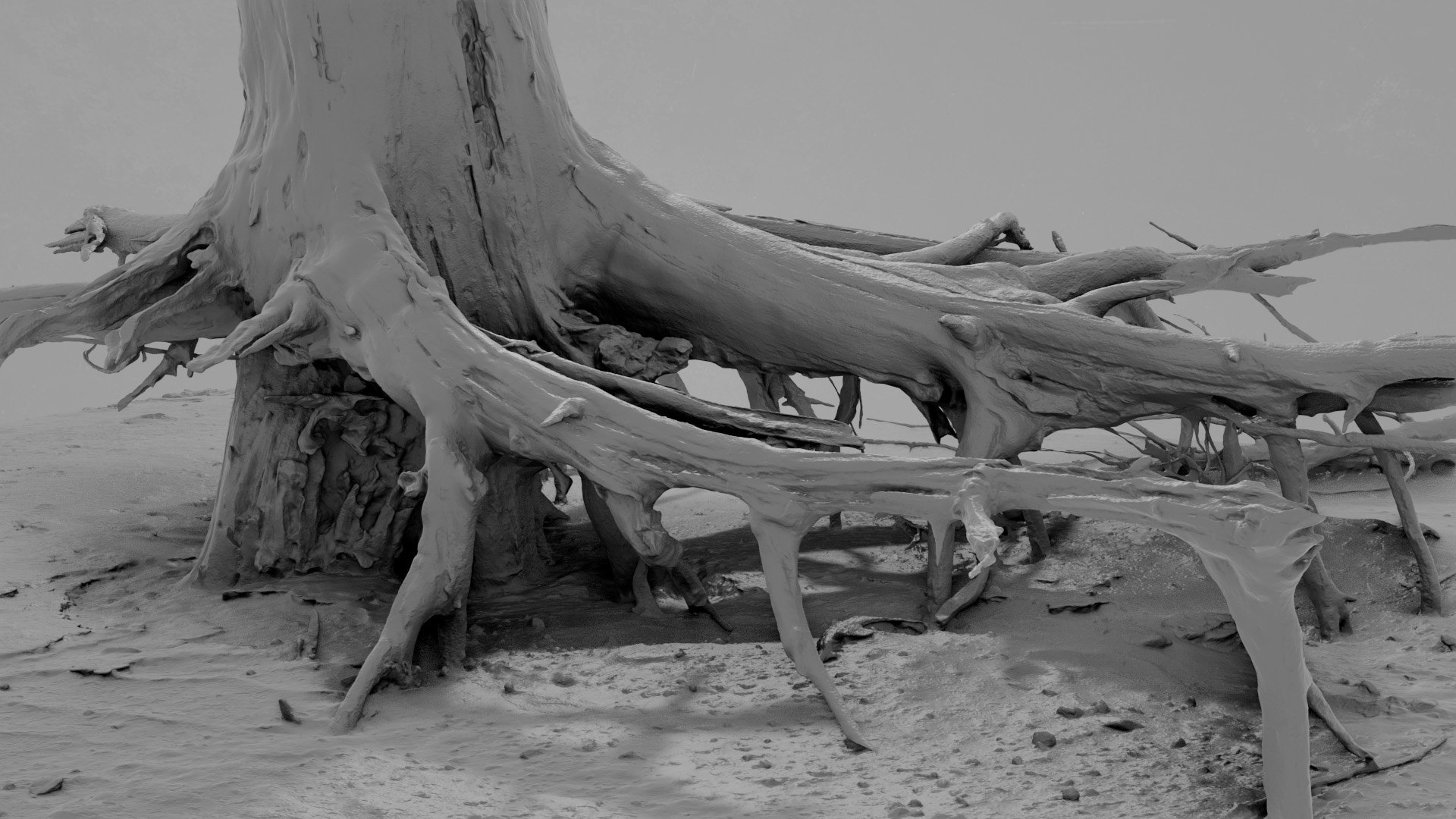 Dead Tree 021 3D - TurboSquid 2371321