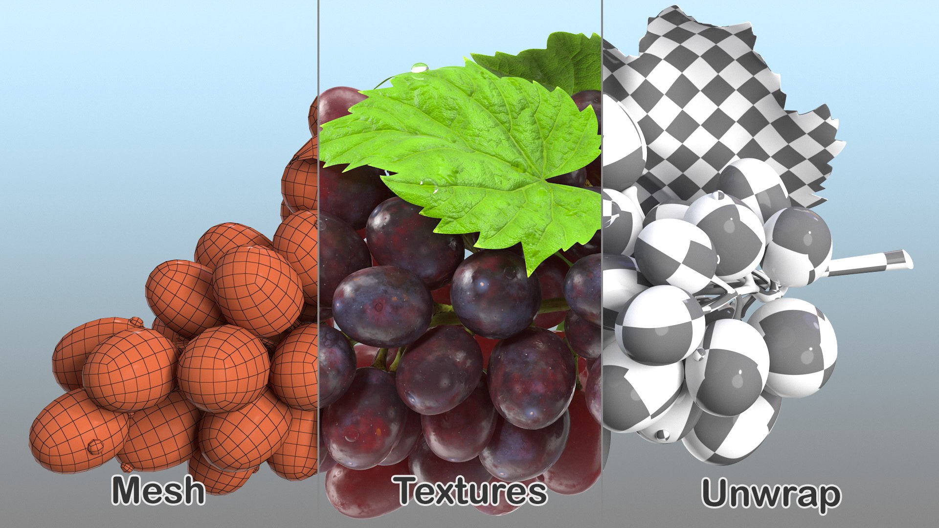 3D bunch dark grapes https://p.turbosquid.com/ts-thumb/zl/PyYVrt/84pU3fXv/bunchofdarkgrapesvray3dmodel010/jpg/1580402990/1920x1080/fit_q87/796f9d9e21584a73440ca300e07d3b0ec65d0ab5/bunchofdarkgrapesvray3dmodel010.jpg