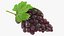 3D bunch dark grapes