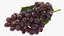 3D bunch dark grapes