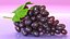 3D bunch dark grapes