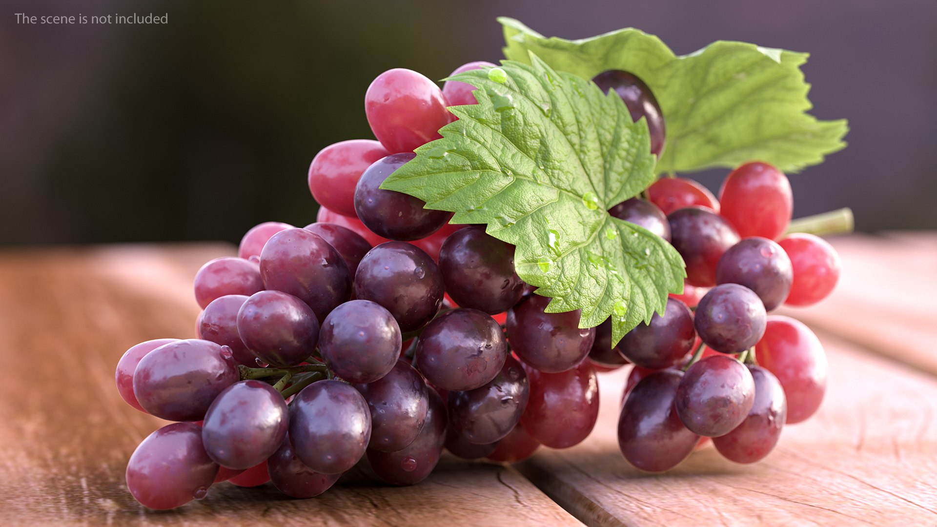 3D bunch dark grapes https://p.turbosquid.com/ts-thumb/zl/PyYVrt/fOkmJ3g2/bunchofdarkgrapesvray3dmodel001/jpg/1580402942/1920x1080/fit_q87/7447a5f25b53dcf36a63325ec744fd0a6f42d046/bunchofdarkgrapesvray3dmodel001.jpg