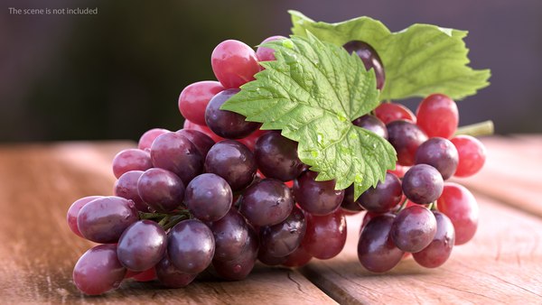 3D bunch dark grapes - TurboSquid 1503545