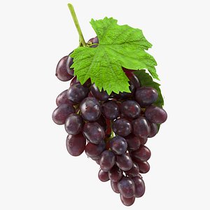 Bunch of Dark Grapes