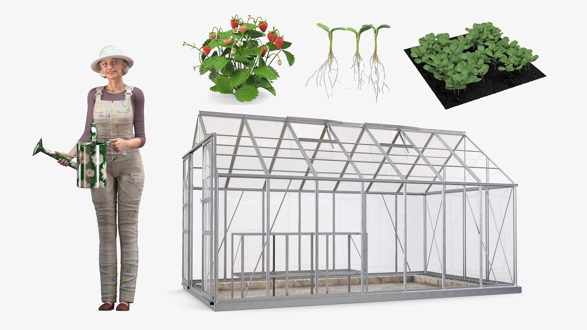 Rigged Gardening Lady with Greenhouse Collection for Cinema 4D 3D model preview