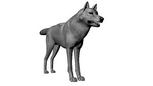 Wolf Model *Texture