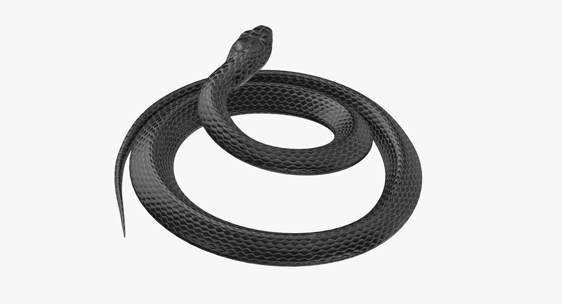 black snake rigged 3d model