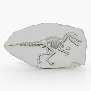 3D model Dinosaur Fossil 003
