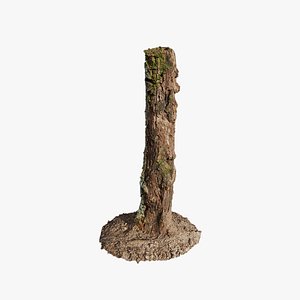 3D Anydrafts Stump 14