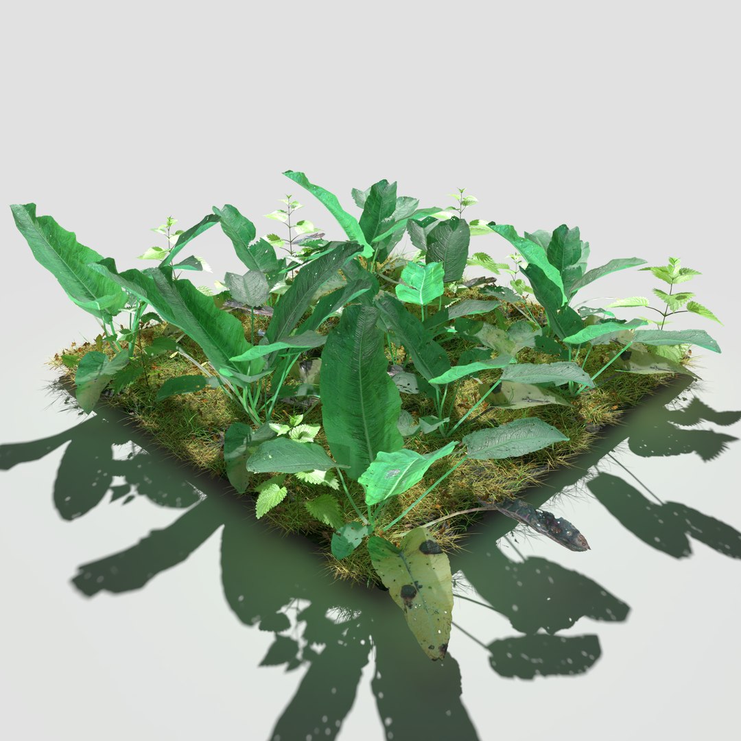 3D meadow patch bitter https://p.turbosquid.com/ts-thumb/zm/I9oWYn/2h/meadowpatch_bitterdock_preview/png/1610995739/1920x1080/fit_q87/ed6585dfd94e3dfa38b315459f9938599602d494/meadowpatch_bitterdock_preview.jpg