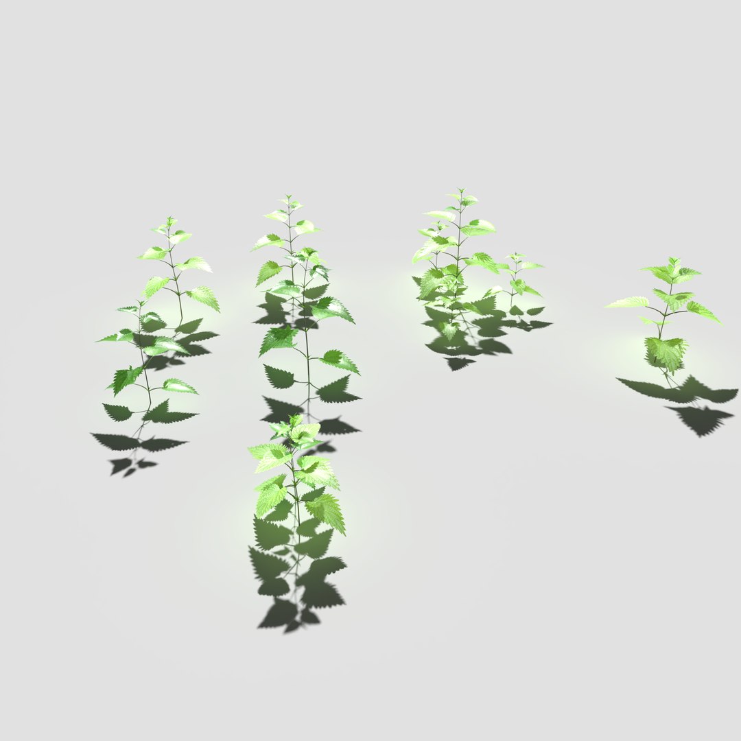 3D meadow patch bitter https://p.turbosquid.com/ts-thumb/zm/I9oWYn/L0/meadowpatch_bitterdock_preview_17/png/1610997806/1920x1080/fit_q87/6981639a5721e01b16b914d1f80ed7127d6abc03/meadowpatch_bitterdock_preview_17.jpg