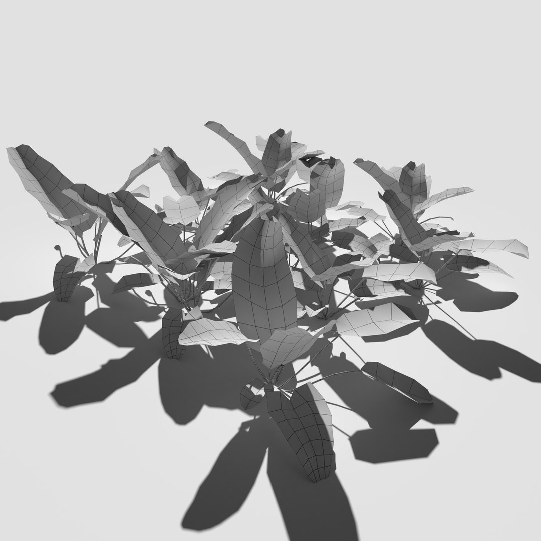 3D meadow patch bitter https://p.turbosquid.com/ts-thumb/zm/I9oWYn/MV/meadowpatch_bitterdock_preview_10/png/1610997517/1920x1080/fit_q87/0be6a7fd3dcfe5a513844909ccef927f13840bef/meadowpatch_bitterdock_preview_10.jpg