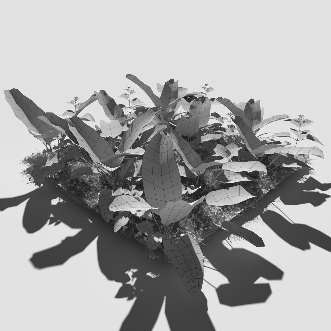 3D meadow patch bitter https://p.turbosquid.com/ts-thumb/zm/I9oWYn/PU/meadowpatch_bitterdock_preview_06/png/1610995499/1920x1080/fit_q87/571b4563bf5518c0d620a1ac86c495f0bb5c27d7/meadowpatch_bitterdock_preview_06.jpg