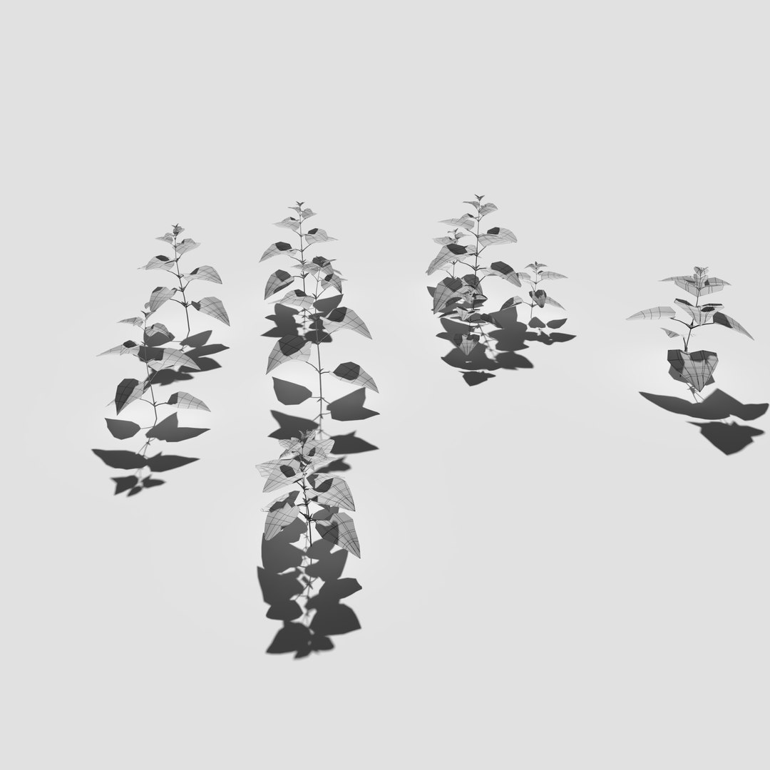 3D meadow patch bitter https://p.turbosquid.com/ts-thumb/zm/I9oWYn/wE/meadowpatch_bitterdock_preview_18/png/1610997796/1920x1080/fit_q87/96fc594a65e8be67759aaa28d960359f6cbd63b7/meadowpatch_bitterdock_preview_18.jpg