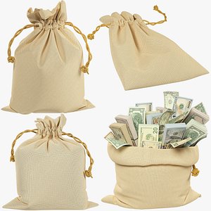 3D Money Bags Collection V9 model