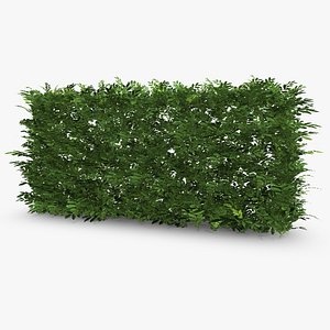 3ds max common laurel hedge