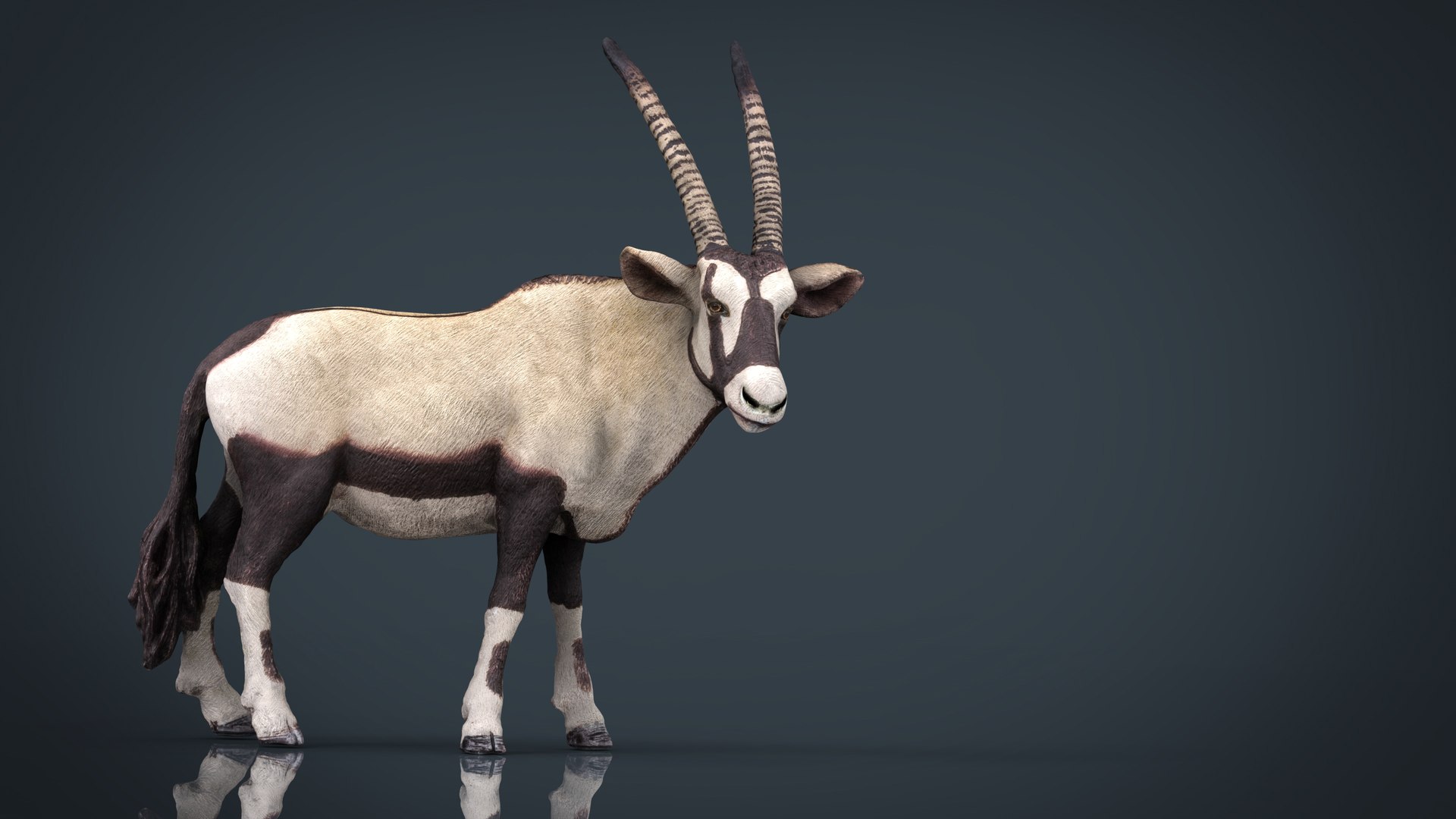 wild africa pack elephant 3D model https://p.turbosquid.com/ts-thumb/zm/VgdgIQ/7oAGvY4C/oryx/jpg/1499882486/1920x1080/fit_q87/439a859951c9974606b9e4e86c3988dc0610e878/oryx.jpg