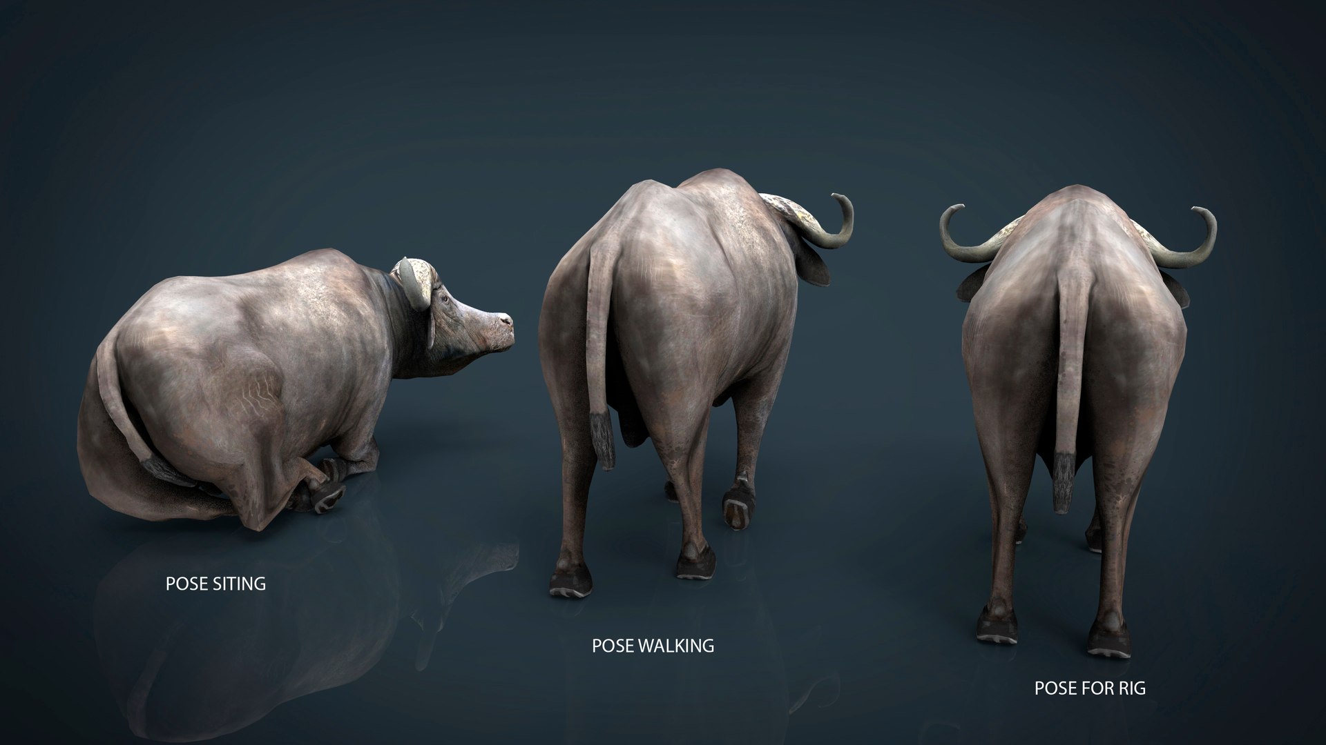 wild africa pack elephant 3D model https://p.turbosquid.com/ts-thumb/zm/VgdgIQ/VgqaFJBI/r2/jpg/1499882377/1920x1080/fit_q87/d27f522120fae0d8554c3a6b7e669d6290e659d7/r2.jpg