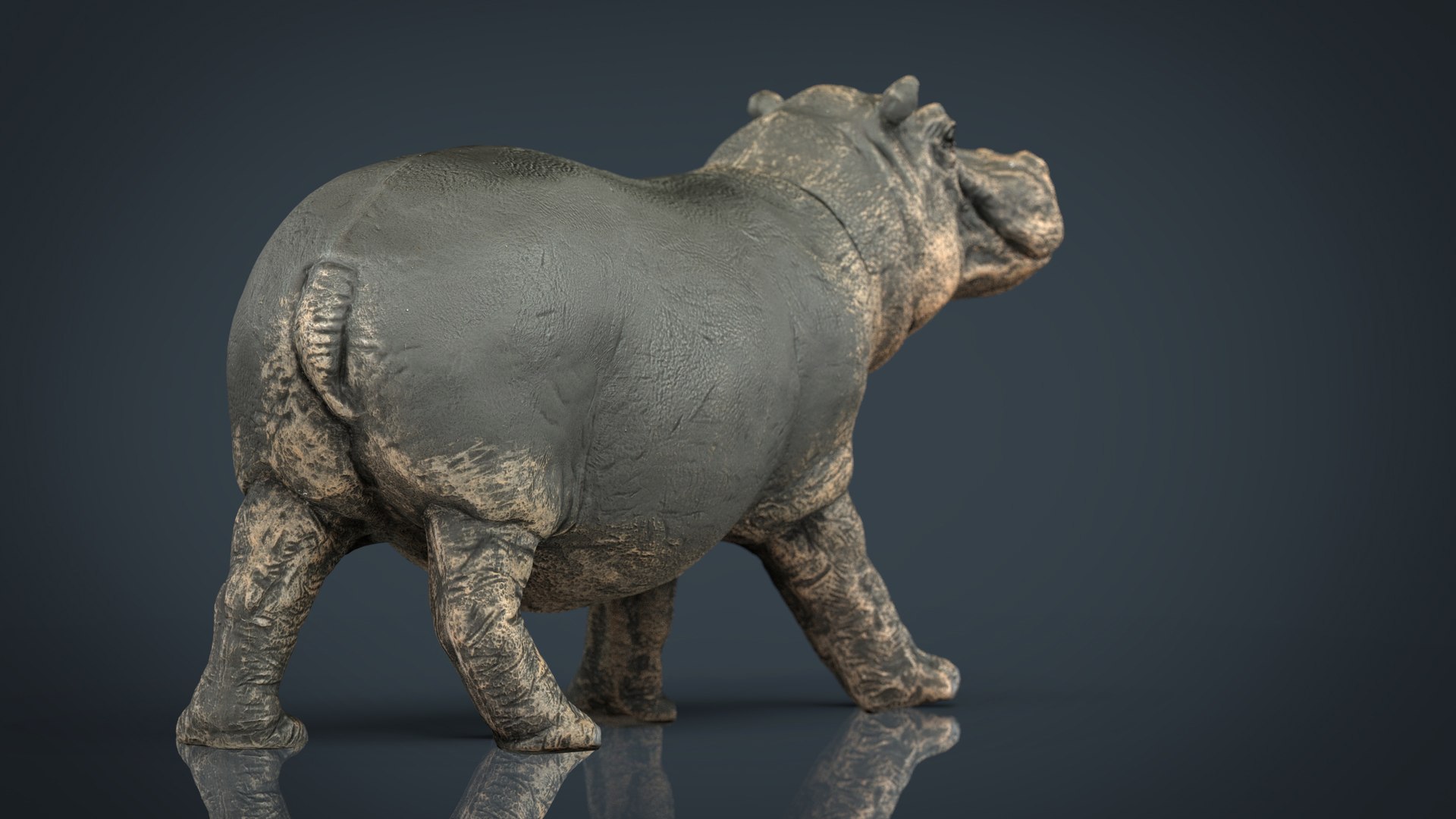 wild africa pack elephant 3D model https://p.turbosquid.com/ts-thumb/zm/VgdgIQ/eMkO8vLK/hippopotamus.1022/jpg/1499882453/1920x1080/fit_q87/7ecbd2ea2002edccfce80cdd7b7c9550f22b75cb/hippopotamus.1022.jpg