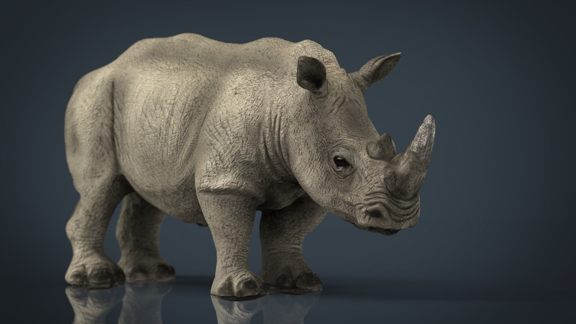 wild africa pack elephant 3D model https://p.turbosquid.com/ts-thumb/zm/VgdgIQ/lPFvk4x7/whiterhinoceros/jpg/1499882518/1920x1080/fit_q87/77ca65b889ffaf74e56d2650c02694b6e8d5eff8/whiterhinoceros.jpg