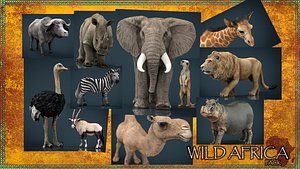WILD AFRICA PACK