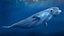 3D model beluga dolphin lowpoly nature wildlife underwater arctic